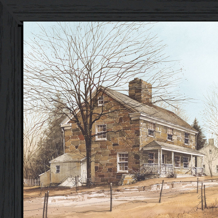 House on Chestnut Black Framed Print Wall Art