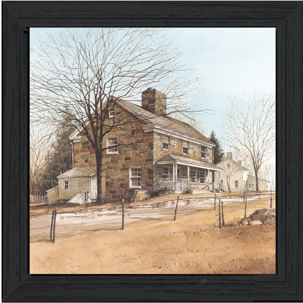 House on Chestnut Black Framed Print Wall Art