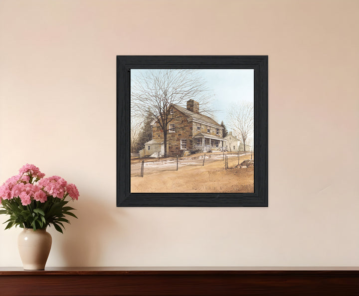 House on Chestnut Black Framed Print Wall Art