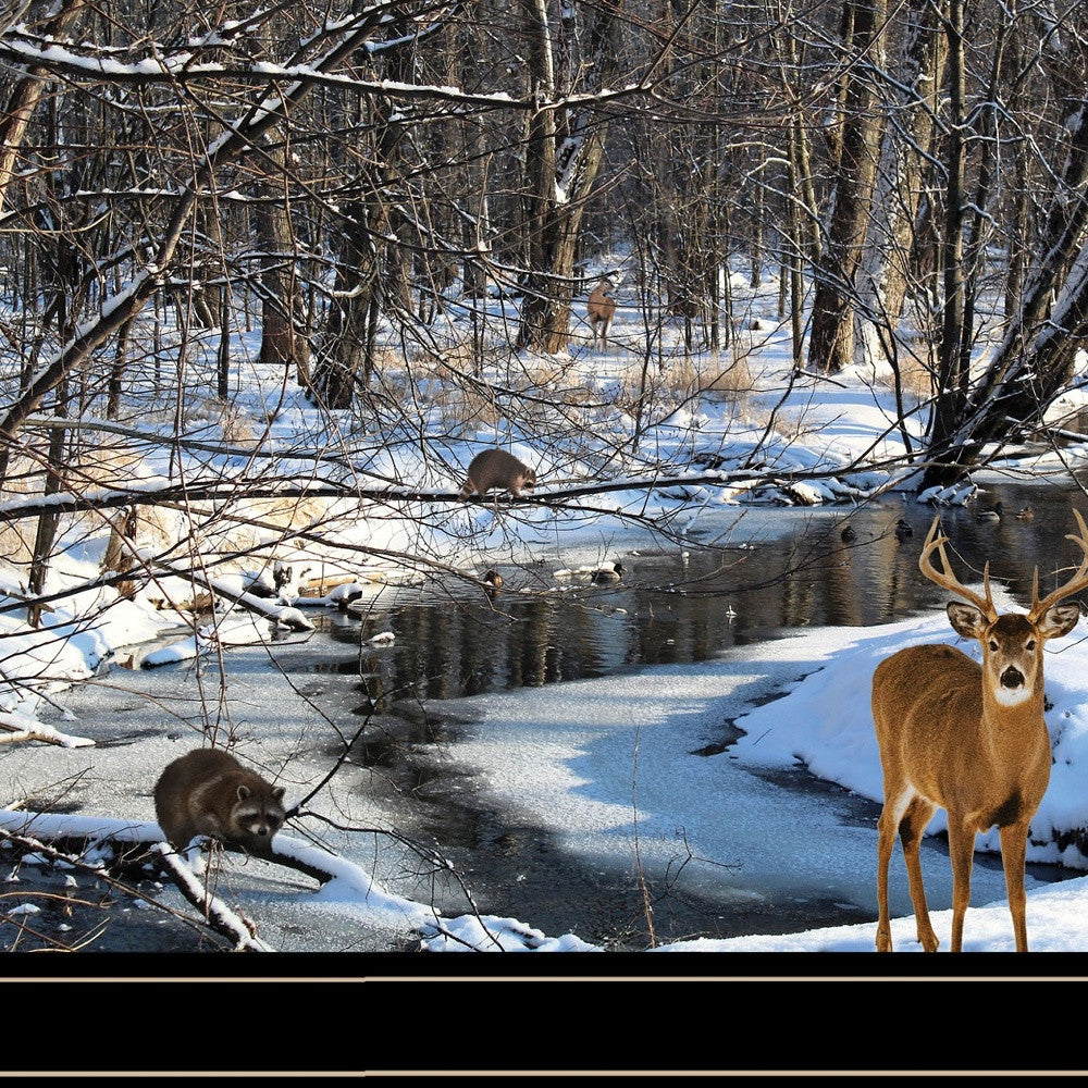 Great Outdoors Nature 2 Black Framed Print Wall Art