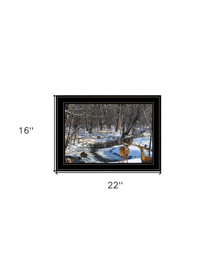 Great Outdoors Nature 2 Black Framed Print Wall Art