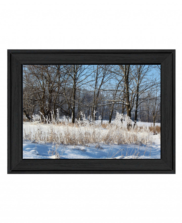 Natures Simple Blessings 1 Black Framed Print Wall Art