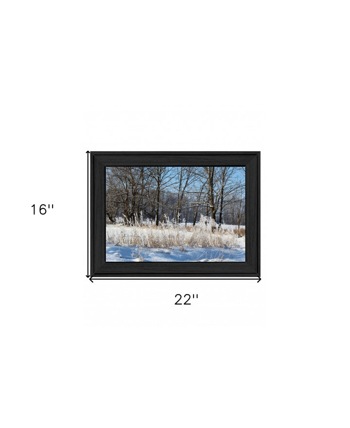 Natures Simple Blessings 1 Black Framed Print Wall Art