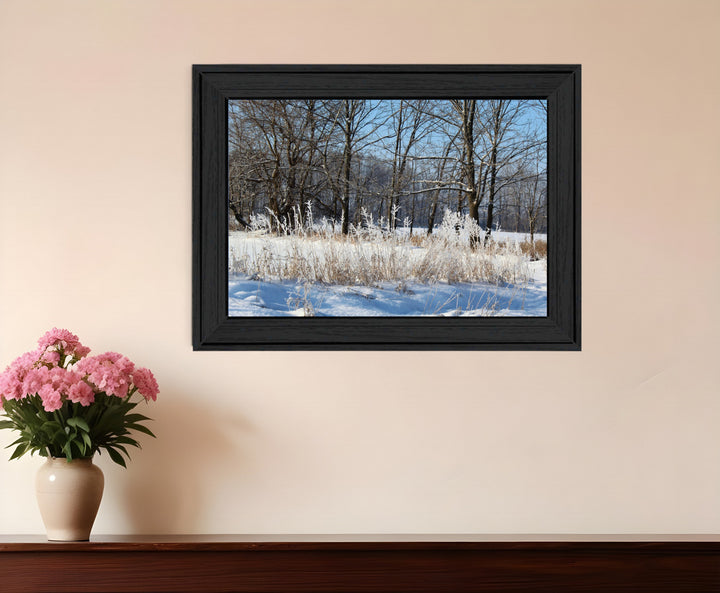 Natures Simple Blessings 1 Black Framed Print Wall Art