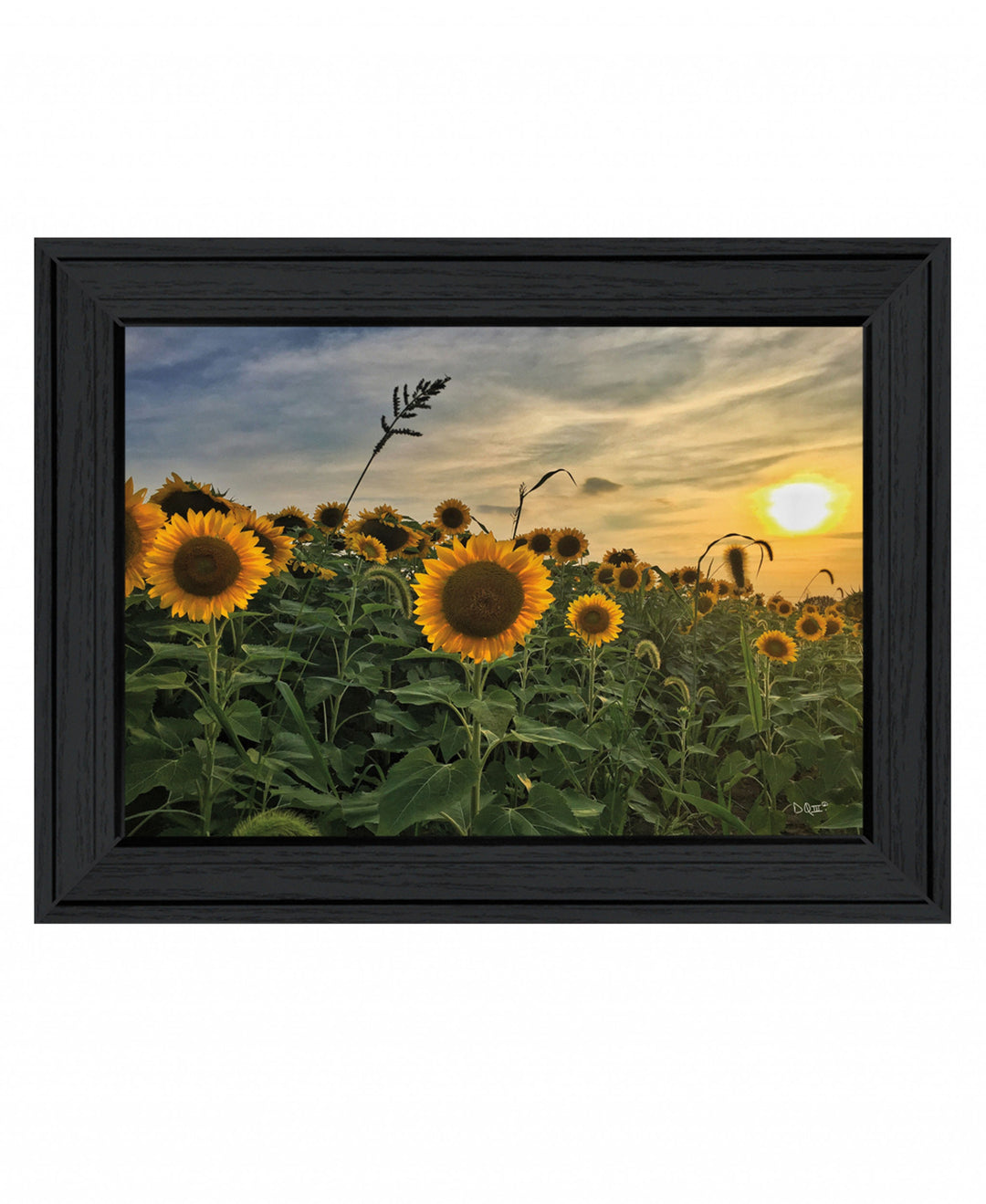 Midwest Livin I 1 White Framed Print Wall Art