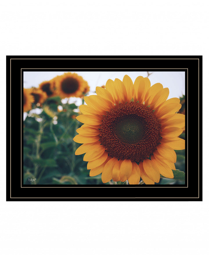 Midwest Livin II 3 Black Framed Print Wall Art