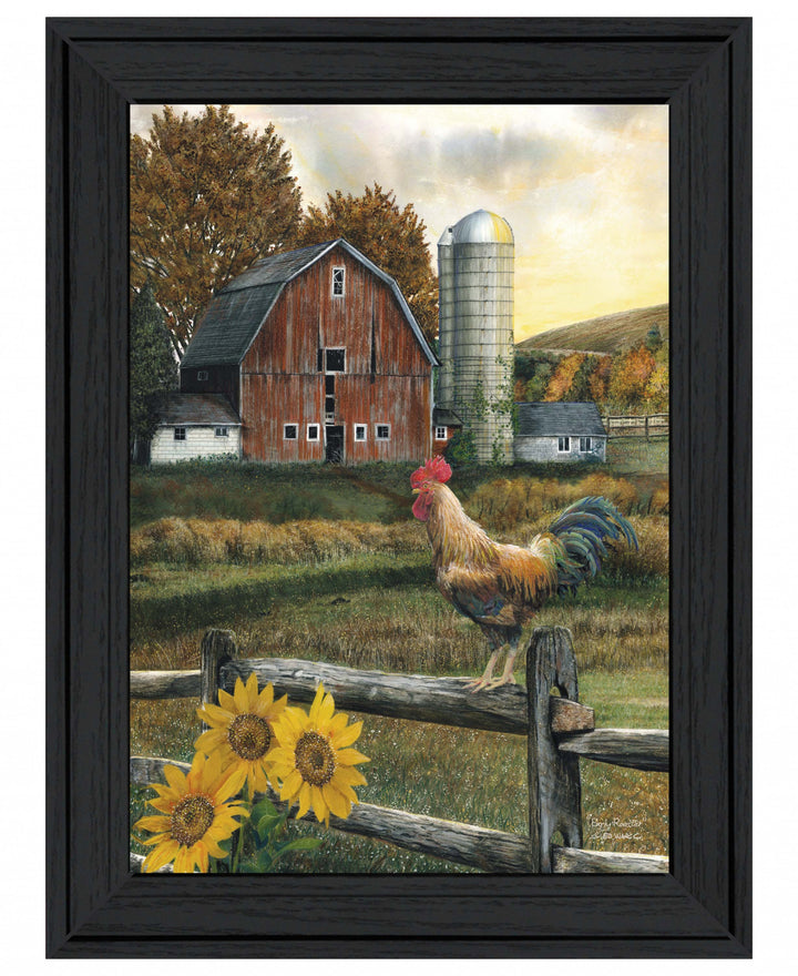 Early Rooster 2 White Framed Print Wall Art