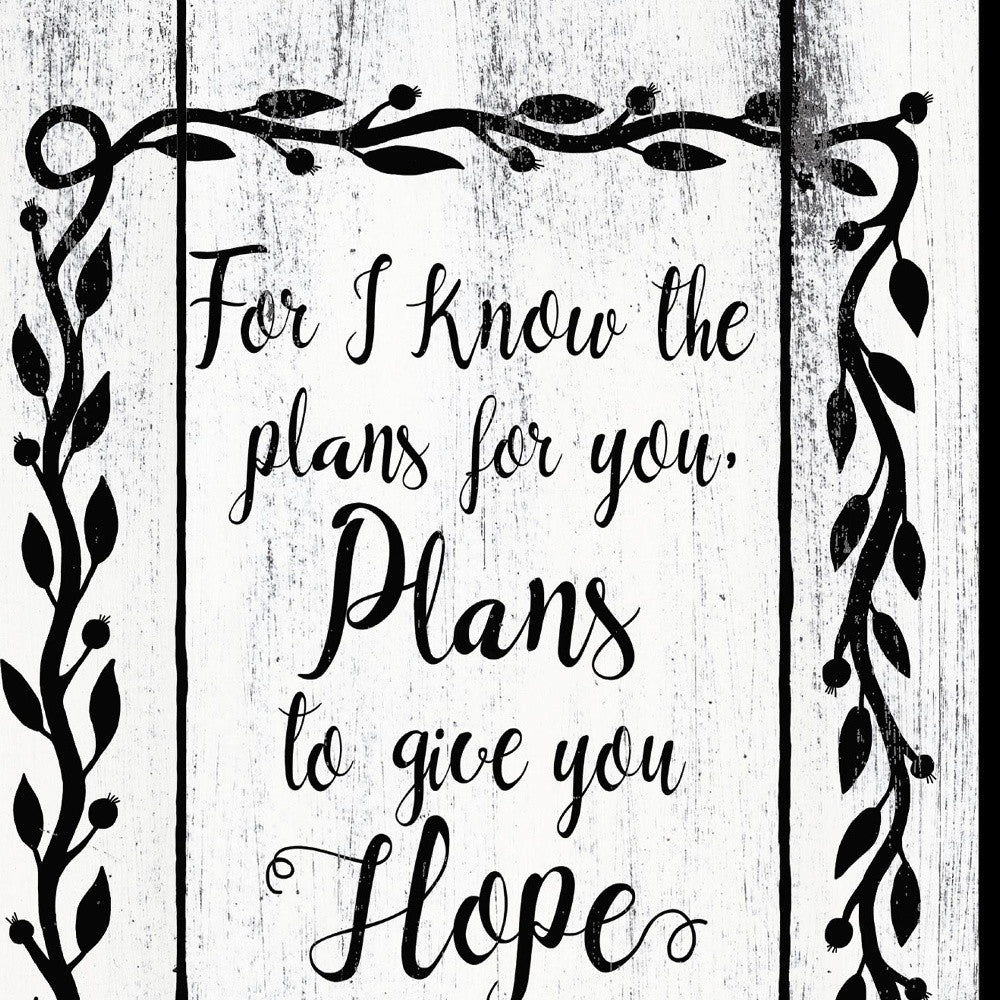 Plans to Give You Hope 2 Black Framed Print Wall Art