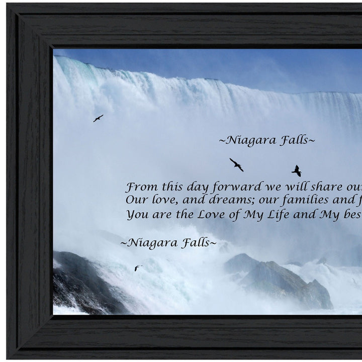 Niagara Falls Black Framed Print Wall Art