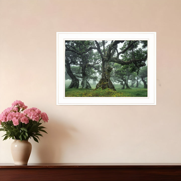 Enchanted Forest I 2 White Framed Print Wall Art