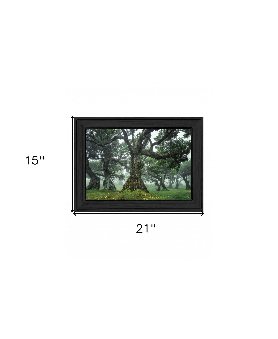 Enchanted Forest I 2 White Framed Print Wall Art