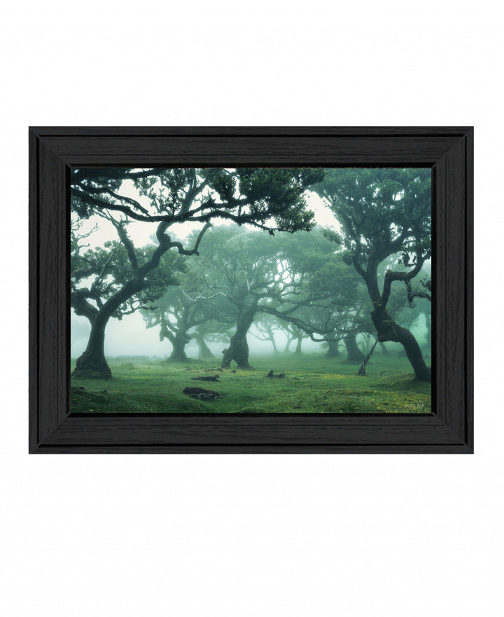 Enchanted Forest II 3 Black Framed Print Wall Art