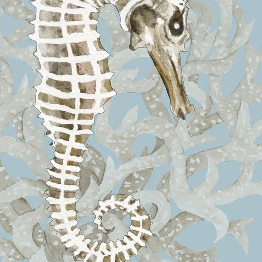 Set Of Two Coral Seahorse 1 Black Framed Print Wall Art