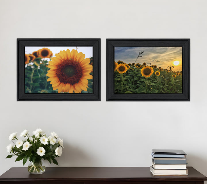 Set Of Two Midwest Living 2 Black Framed Print Wall Art