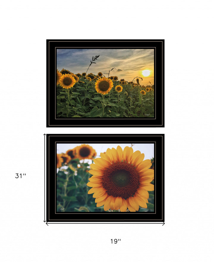 Set Of Two Midwest Living 1 White Framed Print Wall Art