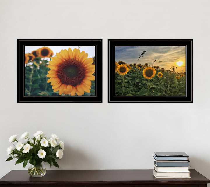 Set Of Two Midwest Living 1 White Framed Print Wall Art