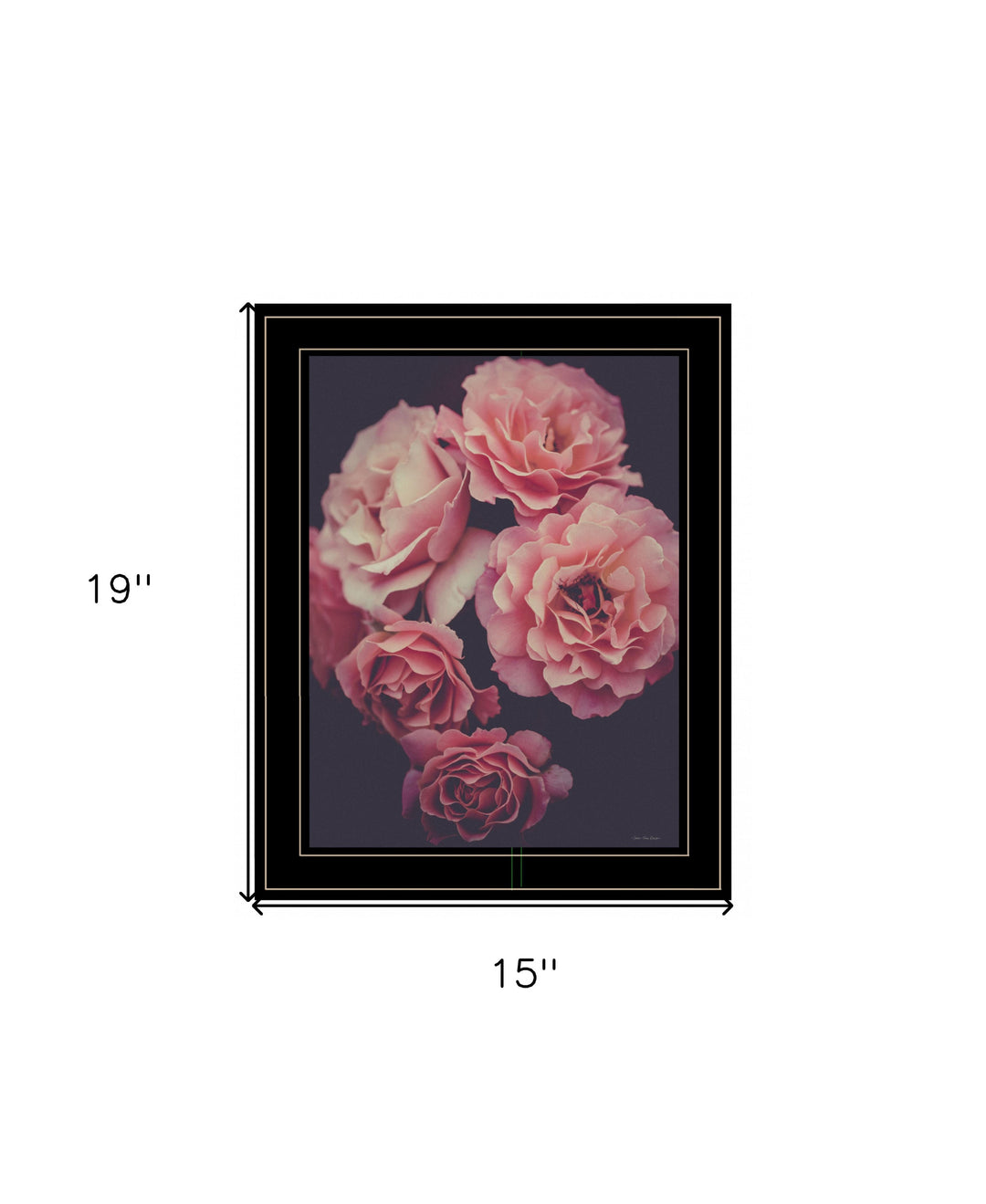 Dreamy Rose 2 Black Framed Print Wall Art