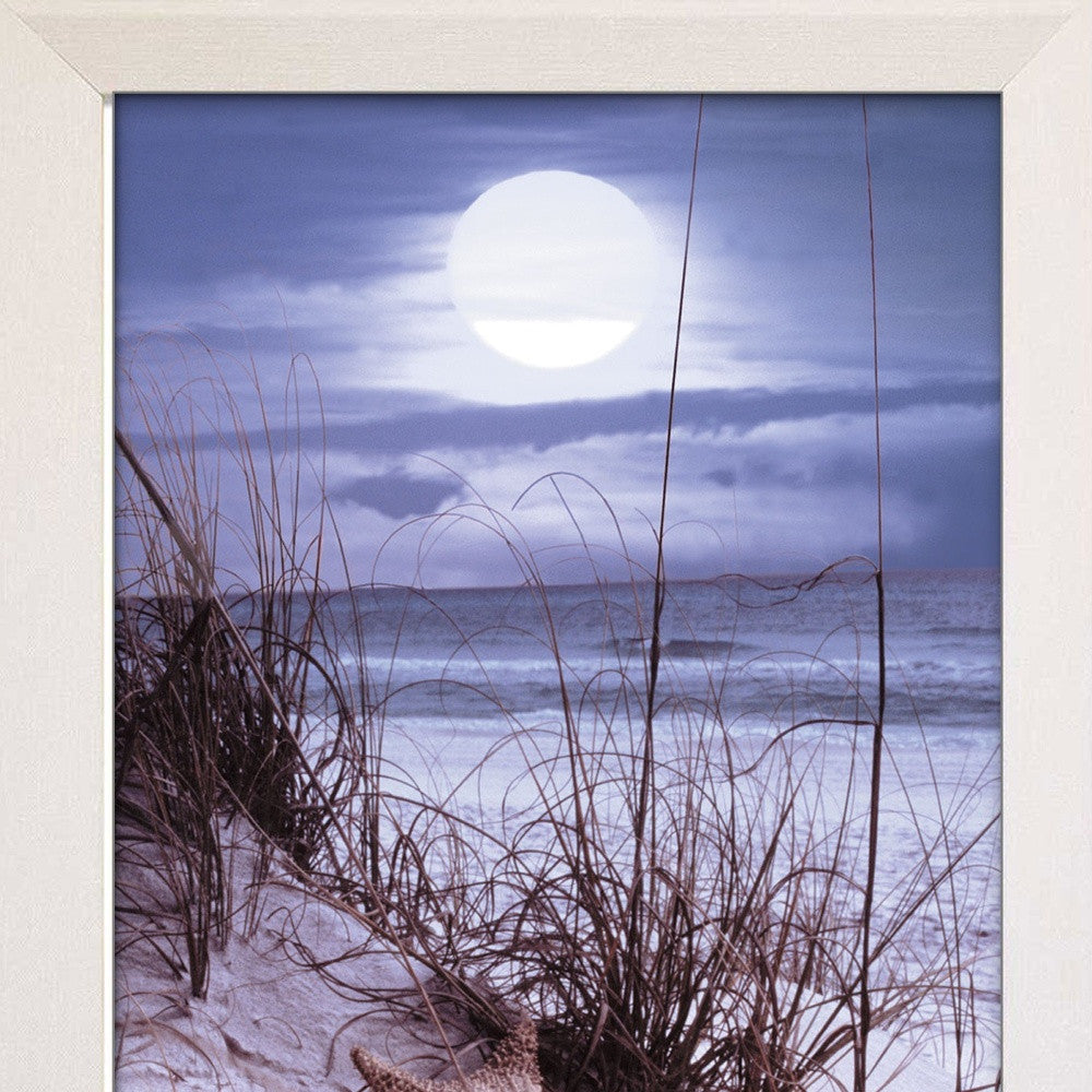 The Seashore White Framed Print Wall Art