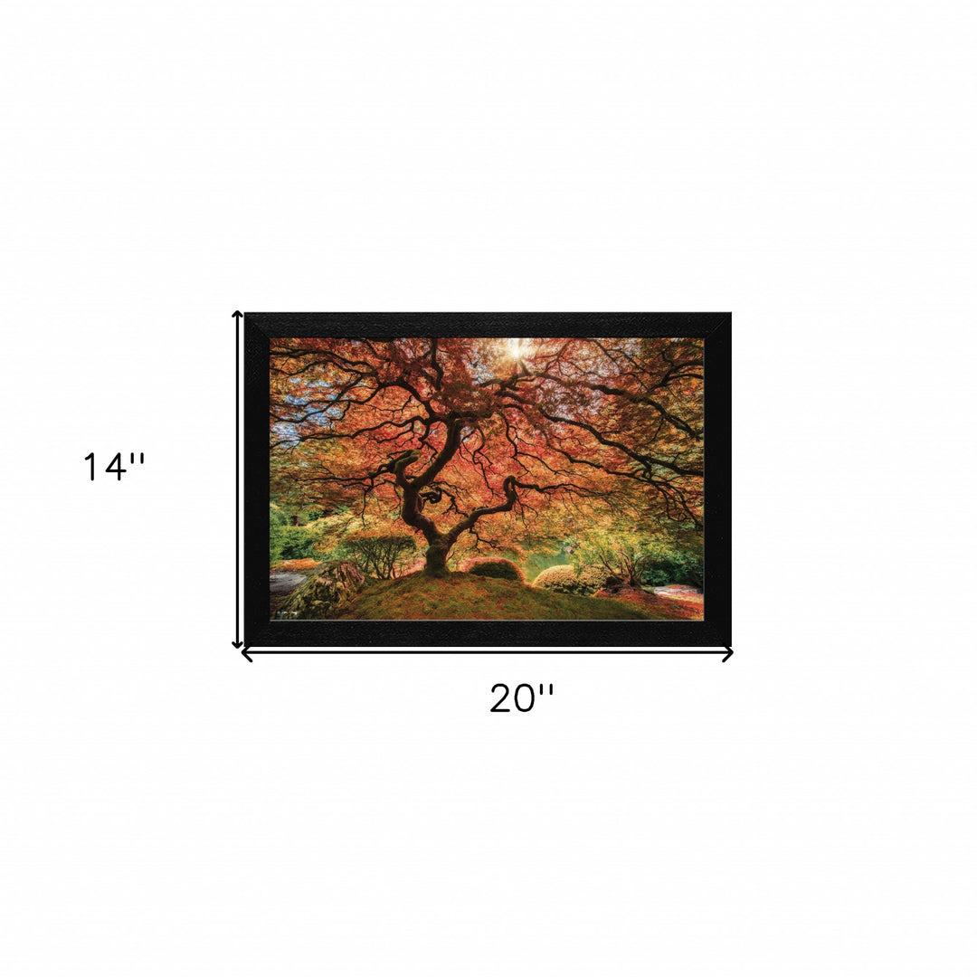 First Colors of Fall Black Framed Print Wall Art