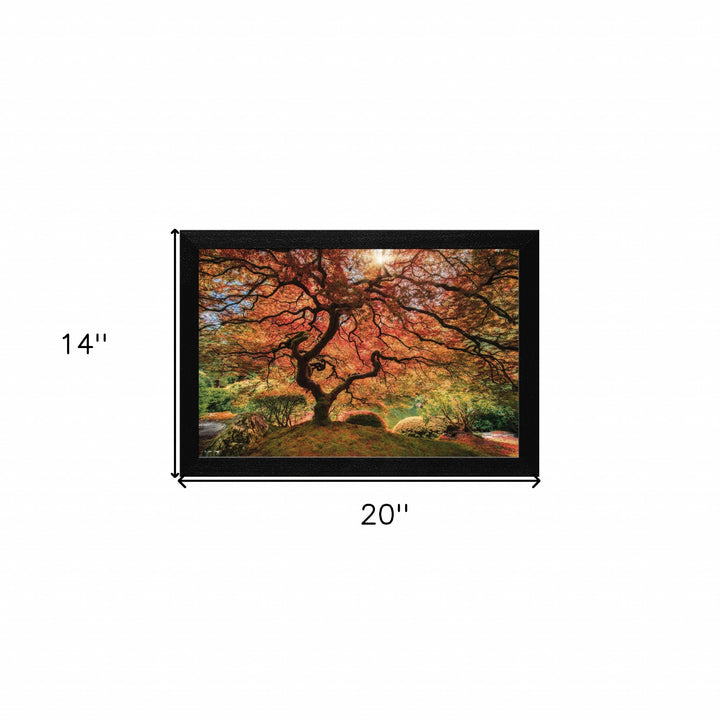 First Colors of Fall Black Framed Print Wall Art