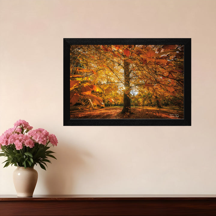 Autumn Leaves 4 Black Framed Print Wall Art