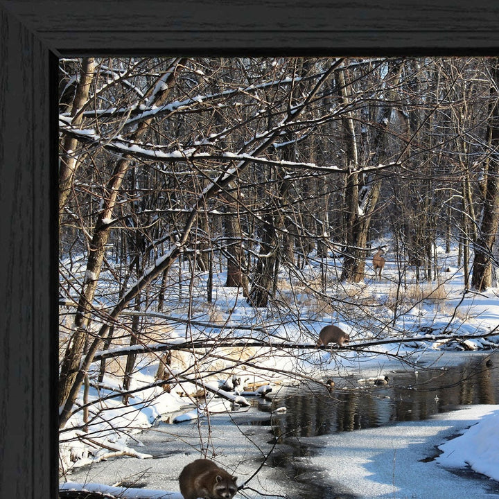 Great Outdoors Nature 1 Black Framed Print Wall Art