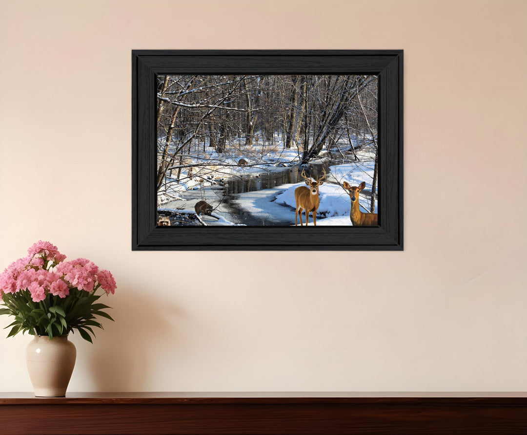 Great Outdoors Nature 1 Black Framed Print Wall Art