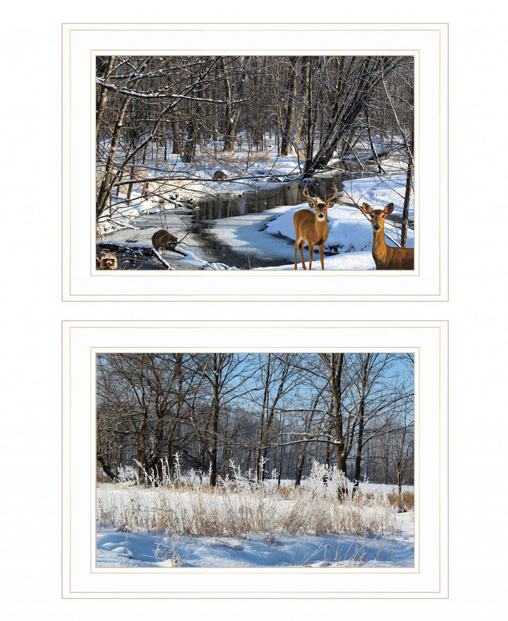 Set Of Two Great Outdoors Nature or Winter Forest 2 White Framed Print Wall Art