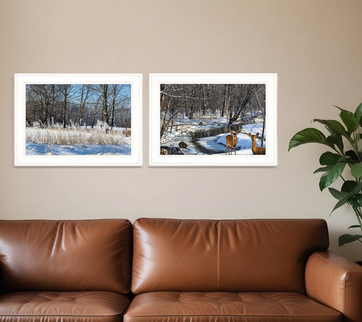 Set Of Two Great Outdoors Nature or Winter Forest 2 White Framed Print Wall Art