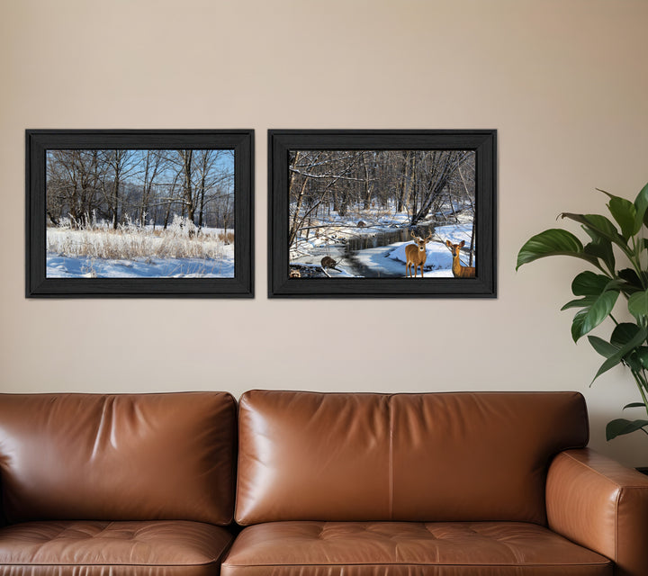 Set Of Two Great Outdoors Nature or Winter Forest 3 Black Framed Print Wall Art