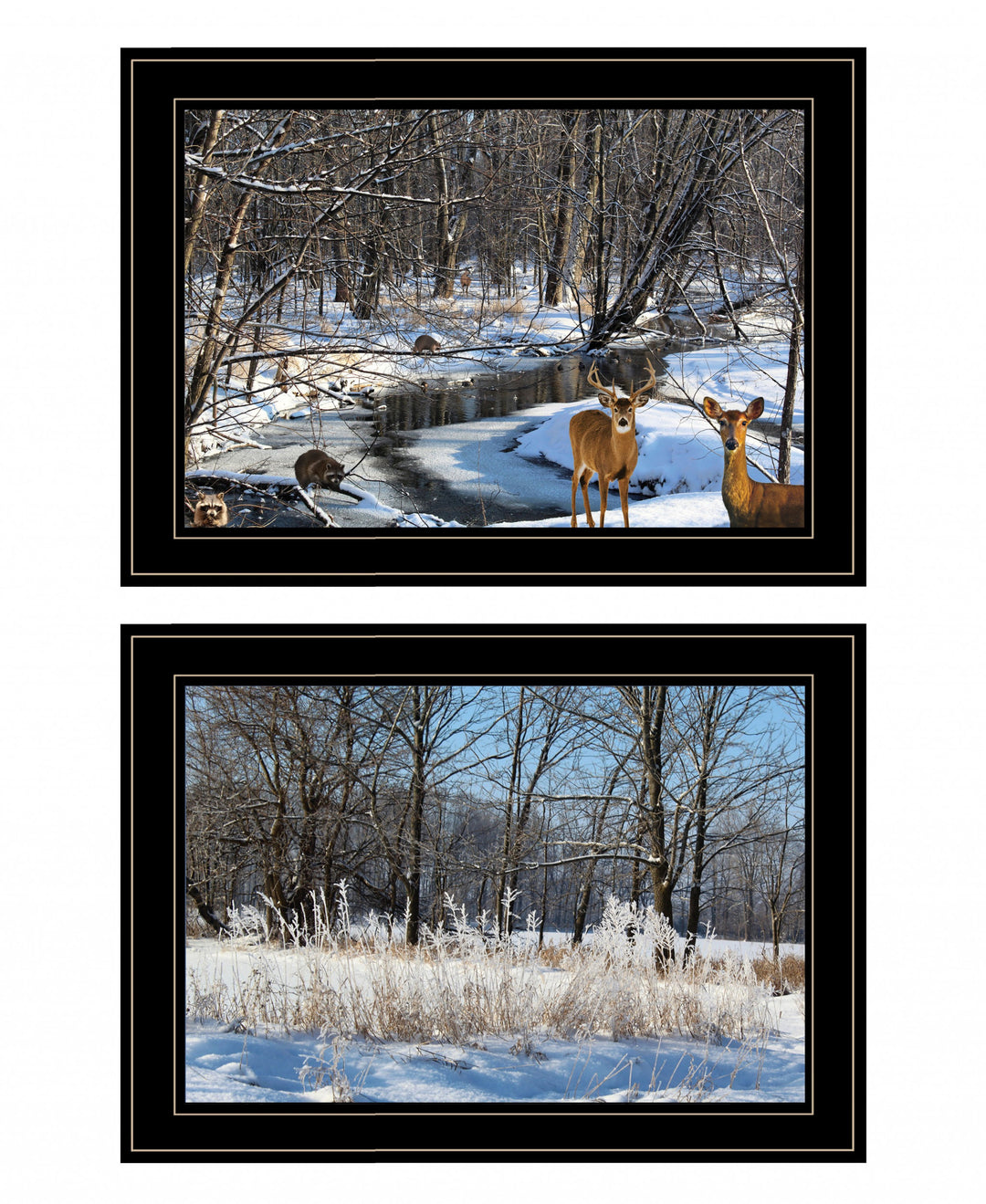 Set Of Two Great Outdoors Nature or Winter Forest 3 Black Framed Print Wall Art