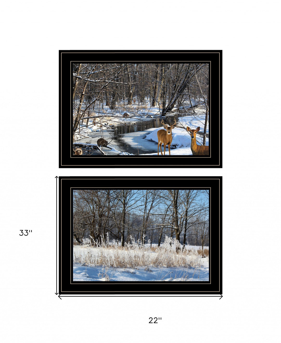 Set Of Two Great Outdoors Nature or Winter Forest 3 Black Framed Print Wall Art