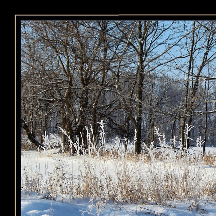 Set Of Two Great Outdoors Nature or Winter Forest 3 Black Framed Print Wall Art