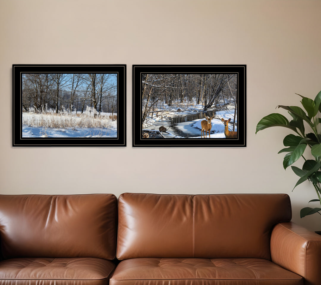 Set Of Two Great Outdoors Nature or Winter Forest 3 Black Framed Print Wall Art