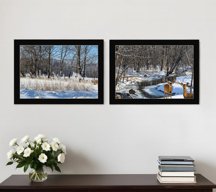 Set Of Two Great Outdoors Nature or Winter Forest 1 Black Framed Print Wall Art