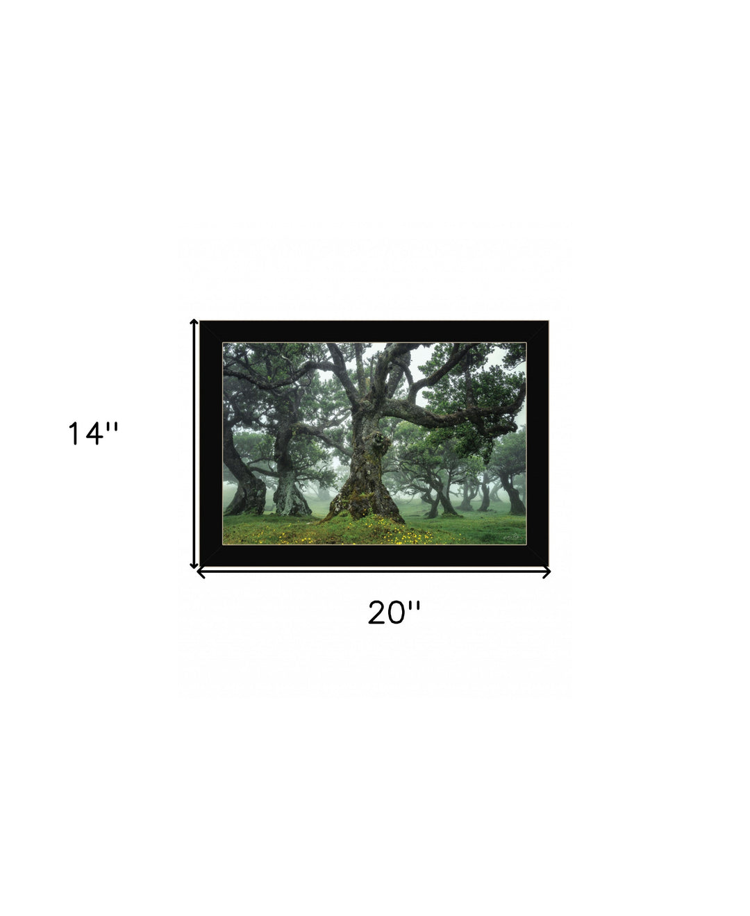 Enchanted Forest I 1 Black Framed Print Wall Art