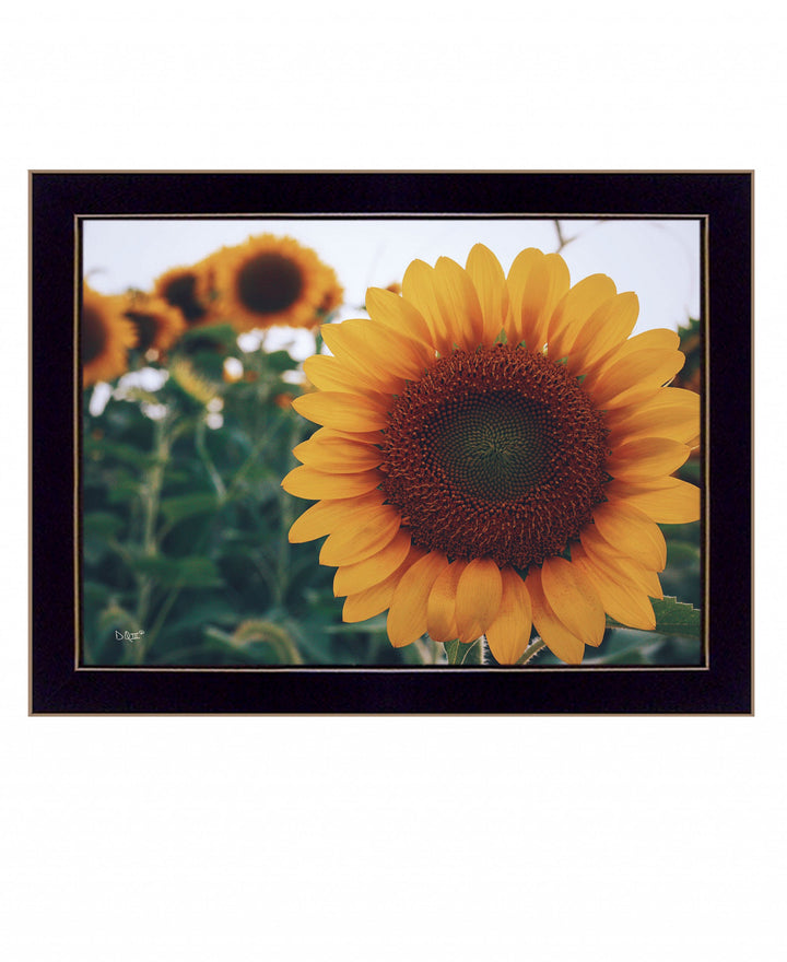 Midwest Livin II 1 Black Framed Print Wall Art