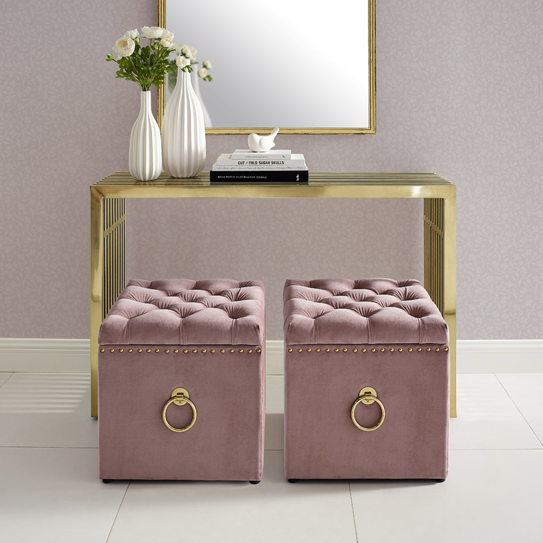 18" Blush Velvet And Black Tufted Storage