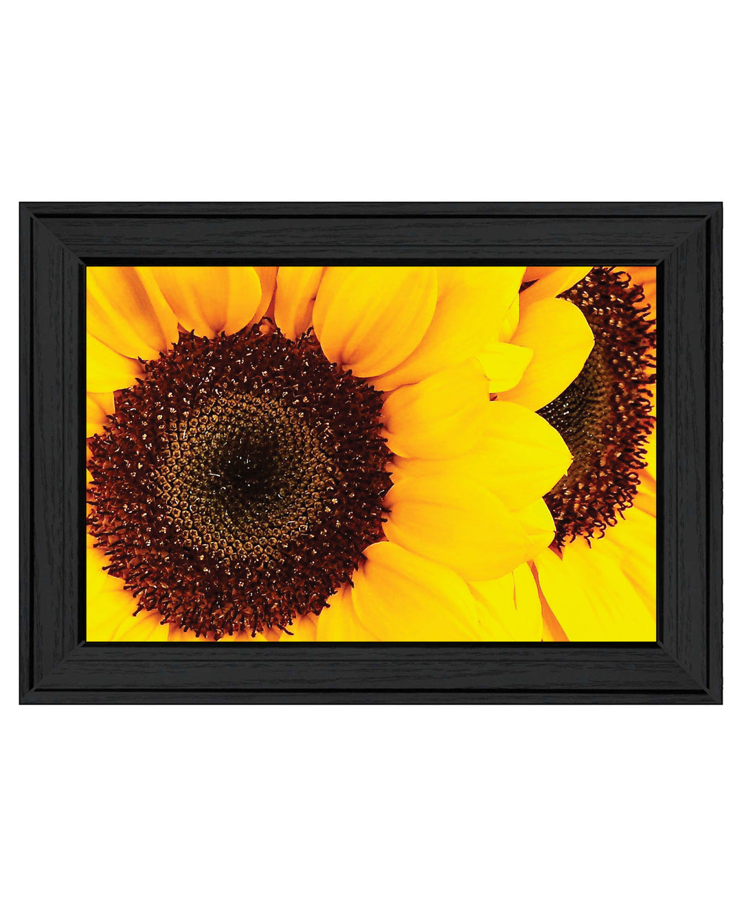 Sunflower Portrait Black Framed Print Wall Art