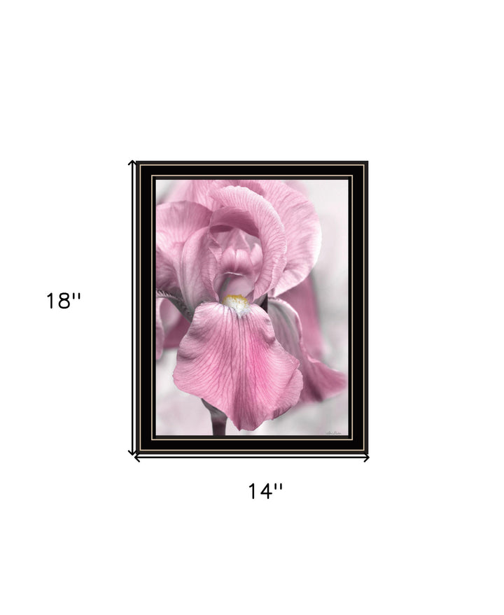 Pink Iris Black Framed Print Wall Art