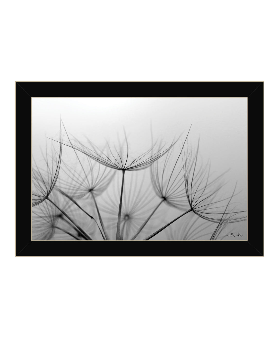 Love is a Delicate Flower Black Framed Print Wall Art