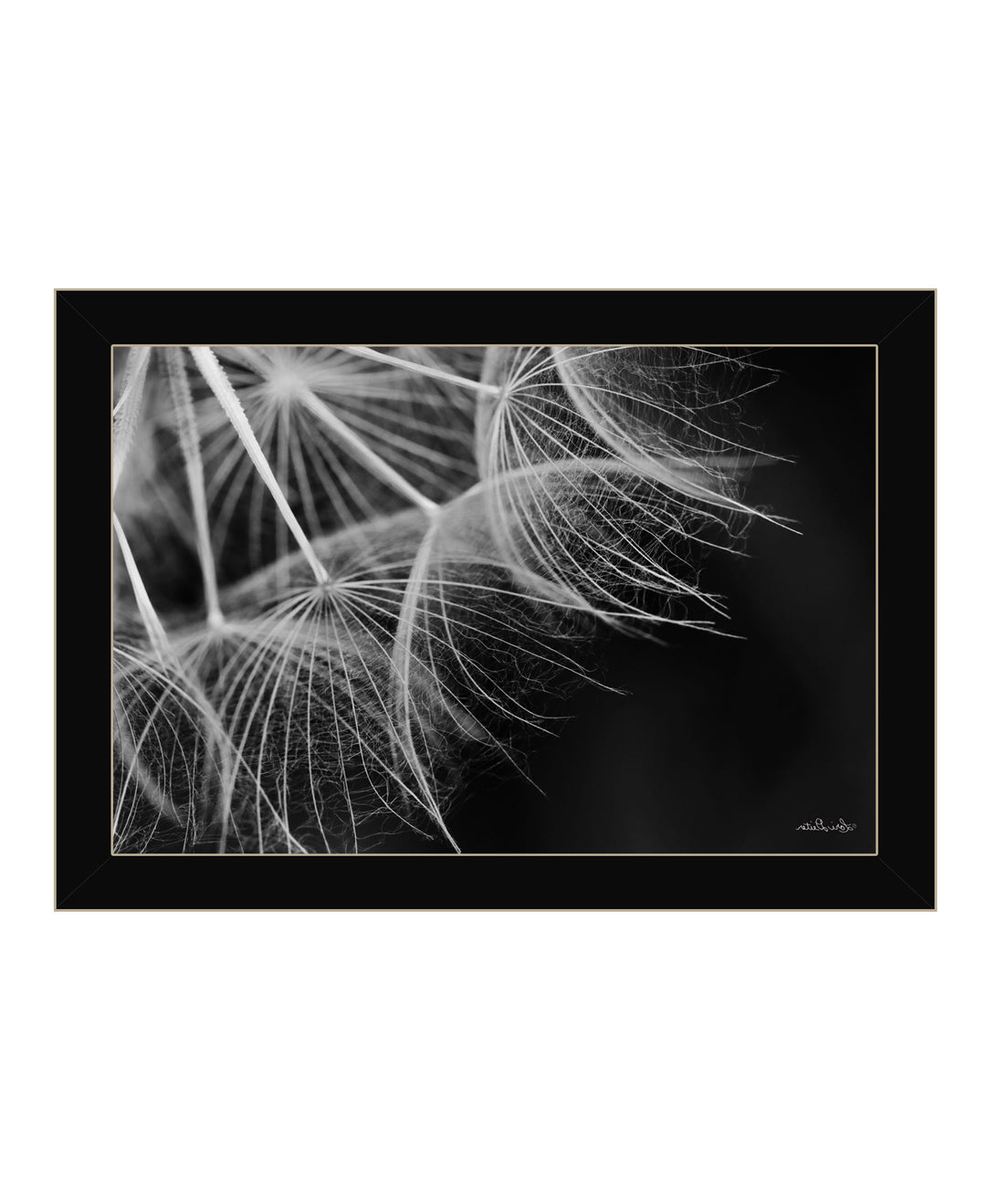 Delicate Beauty Black Framed Print Wall Art