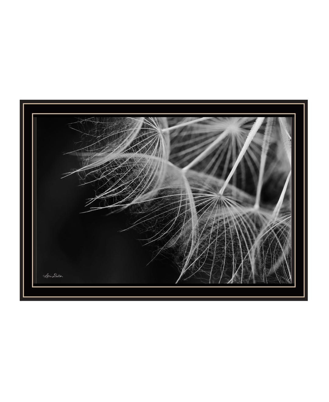 Delicate Beauty Black Framed Print Wall Art