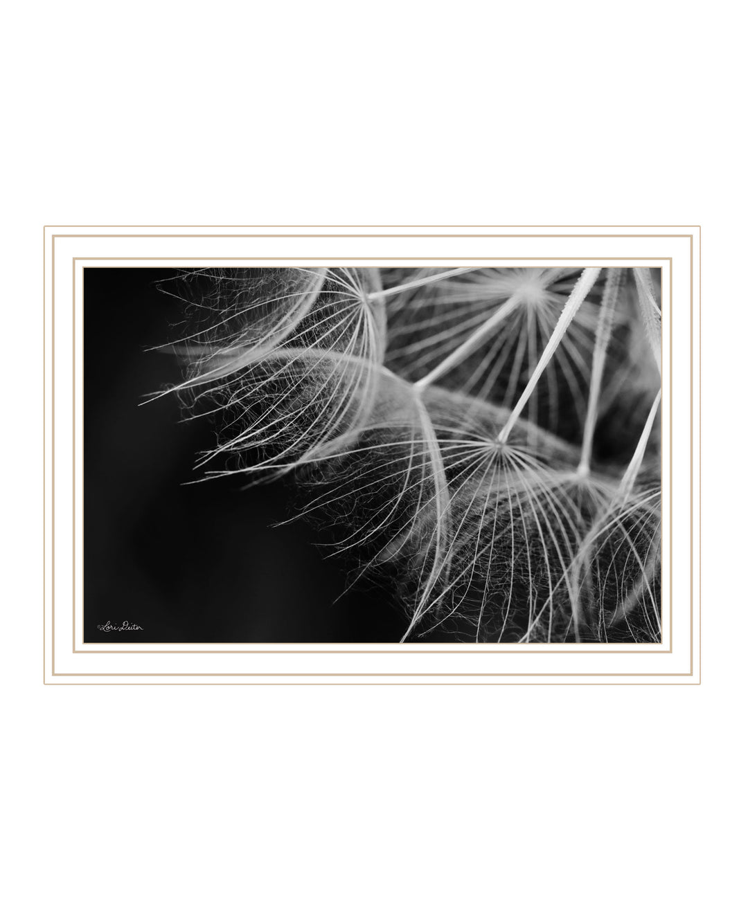 Delicate Beauty Black Framed Print Wall Art